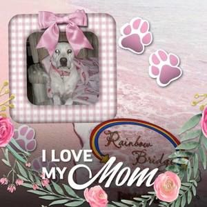 Meet your Posher, Wanda